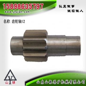 點(diǎn)擊查看詳細(xì)信息<br>標(biāo)題：齒輪軸12 江陰系列配件 閱讀次數(shù)：2101