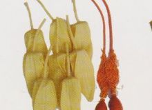 點擊查看詳細信息<br>標題：取氣樣球膽 閱讀次數：94